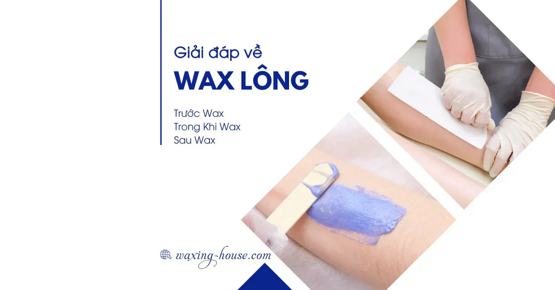 Giải Đáp 13 Thắc Mắc Về Wax Lông Phổ Biến Nhất - Phiên bản tiếng Việt